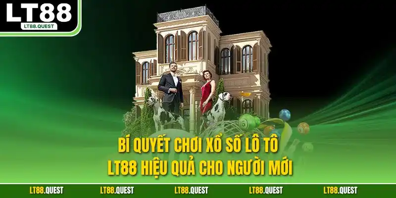 Bí quyết chơi xổ số lô tô LT88 hiệu quả cho người mới